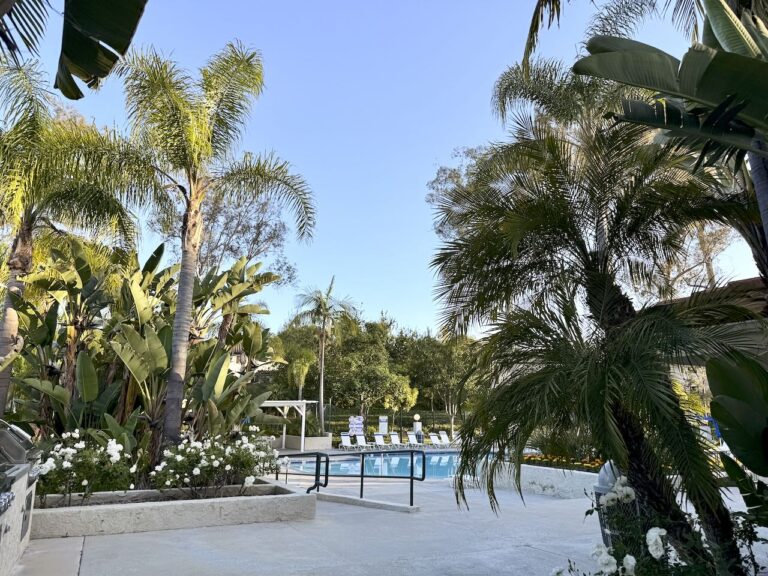 Clubhouse pool is ready and open.